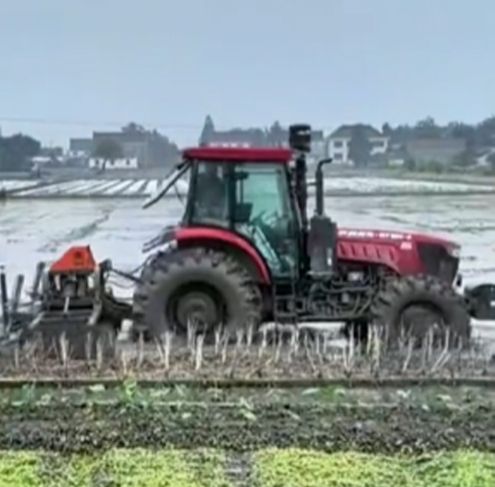 您負(fù)責(zé)統(tǒng)籌全局，它負(fù)責(zé)腳踏實地