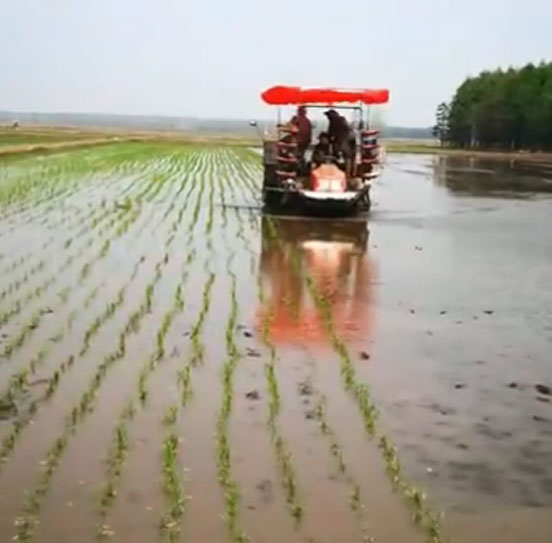 陳滿(mǎn)茹農(nóng)機(jī)